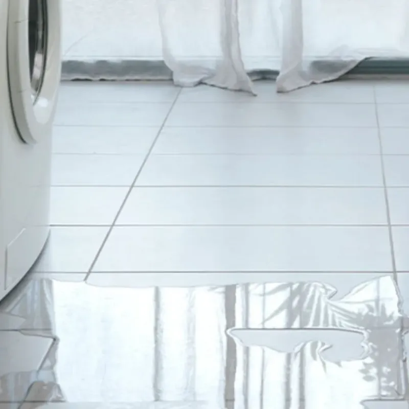Appliance Leak Cleanup in Santa Cruz, CA