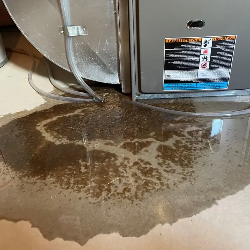 Pipe Burst and Leak Restoration in Santa Cruz, CA